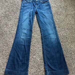 7 for all mankind dojo